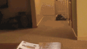 GIF by Demic