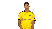 Borussia Dortmund No Sticker by Bundesliga