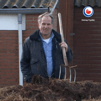 Not Me Reaction GIF by Omrop Fryslân