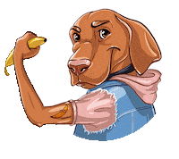 We Can Yes Sticker by BANANADOG