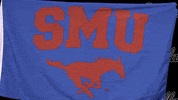 Track And Field GIF by SMU Mustangs