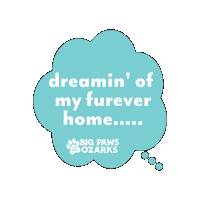 Adopt A Dog Sticker by Big Paws of the Ozarks