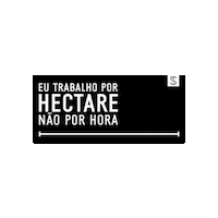 Boi Churrasco Sticker by Rincon Del Sarandy