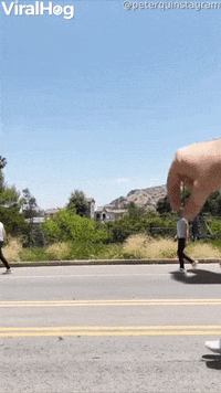 Walking GIF by ViralHog