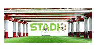 StadioSoccer stadio stadio soccer stadiosoccer Sticker