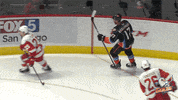 Awesome National Hockey League GIF by San Diego Gulls