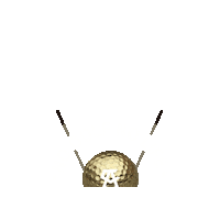 torneonogolfnolife nogolfnolife torneonogolfnolife nogolfnolifetournament pelotatorneonogolfnolife Sticker