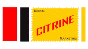 CitrineDigital marketing digital agency citrine Sticker