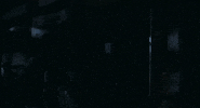 New Zealand Canada GIF by TIFF