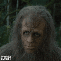 Jesse Eisenberg Bigfoot GIF by Bleecker Street