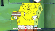season 9 GIF by SpongeBob SquarePants