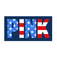 4thofjuly Sticker by Victoria's Secret PINK