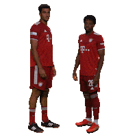 fcbayerncampus football soccer team fussball Sticker