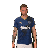 2 Bundesliga Football Sticker by Holstein Kiel