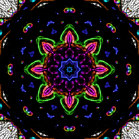 Beauty Rainbow GIF