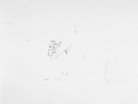 Animation Dog GIF by Jonah Primiano