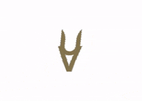 Belua valencia fuego hamburguesas carnes GIF