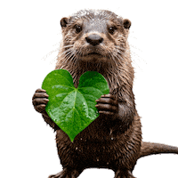 Nutria Sticker by ecoembes