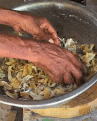 Fish Cooking GIF