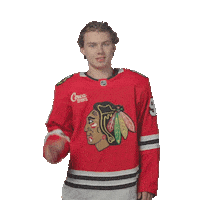 Bedard Sticker by NHLBlackhawks