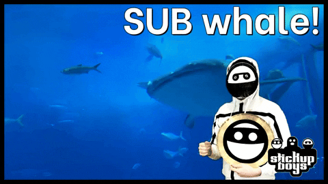 Sub Whale GIF by Stick Up Music