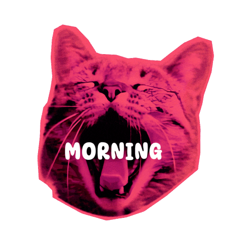 Cat Love Sticker by Seorang Zaki