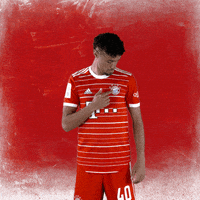 Football Sport GIF by FC Bayern Munich