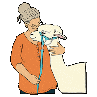 Llama Sticker by Your Alpaca Cottage