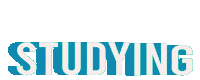 Studying Fast Learner Sticker