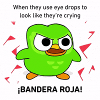 Red Flag GIF by Duolingo