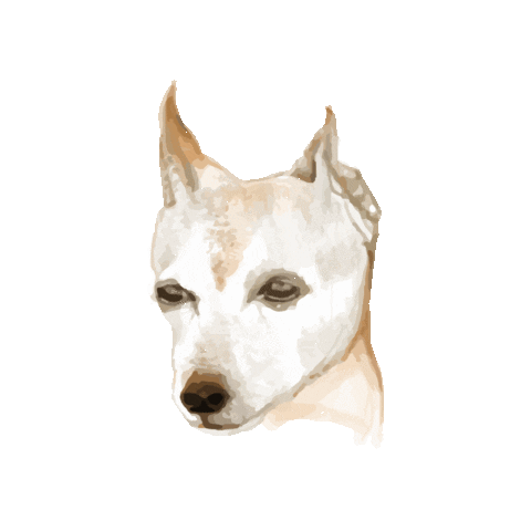 ProtectOne giphygifmaker dog ecopet protectone Sticker