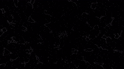 Burberry GIF by Minecraft