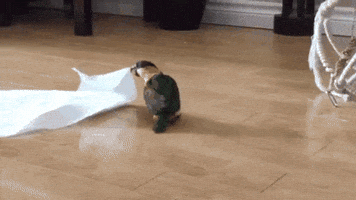 towel GIF