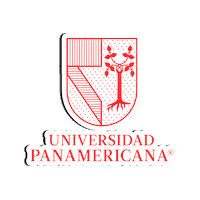 UPMexico back to school universidad panamericana upmexico viveup Sticker