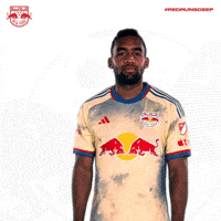 Red Bulls No GIF by New York Red Bulls