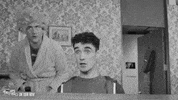 Whats Wrong Vegan GIF by FoilArmsandHog