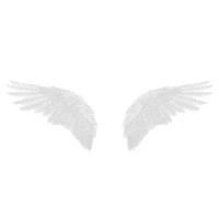 angel tequila Sticker by Jose Cuervo