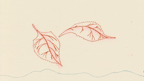Animation Pencil GIF by kohana