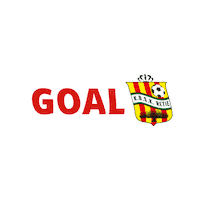 kbskretie soccer goal voetbal wailiezenreie Sticker