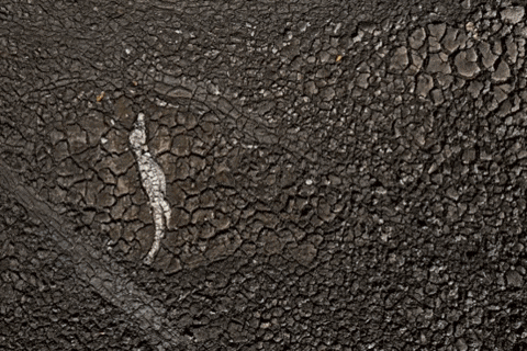 andersongallo giphyupload GIF