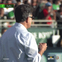 el tri soccer GIF by La Suerte No Juega