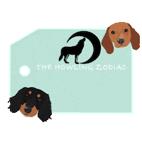 thehowlingzodiac bobble head gift tag doxies sausage dogs Sticker