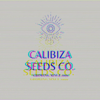 calibizaseeds calibizaseeds calibiza calibizaseedsco GIF