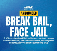 Victoria Crime GIF by Nicole Werner MP