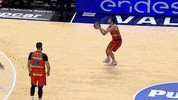 Liga Endesa Basketball GIF by ACB