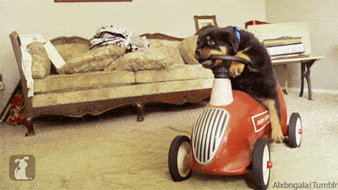 work beep GIF