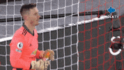 Premier League Football GIF by MolaTV