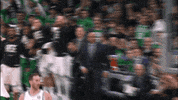 Nba Playoffs Sport GIF by NBA