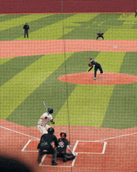 Santa Clara University GIF by Santa Clara Broncos