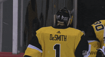 ice hockey smile GIF by NHL